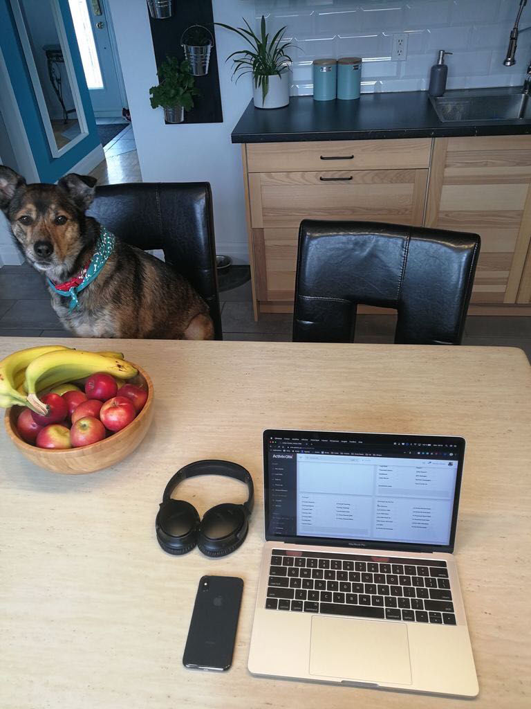 Mélissa et son chien, travaillent ardemment de la maison !